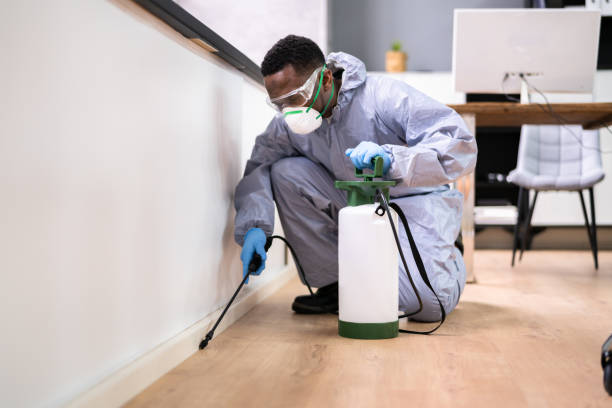 Real Estate Pest Inspections in Norwood, PA